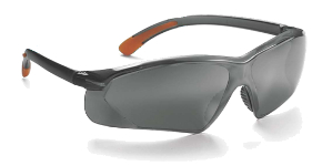 Proguard Serpent Safety Eyewear